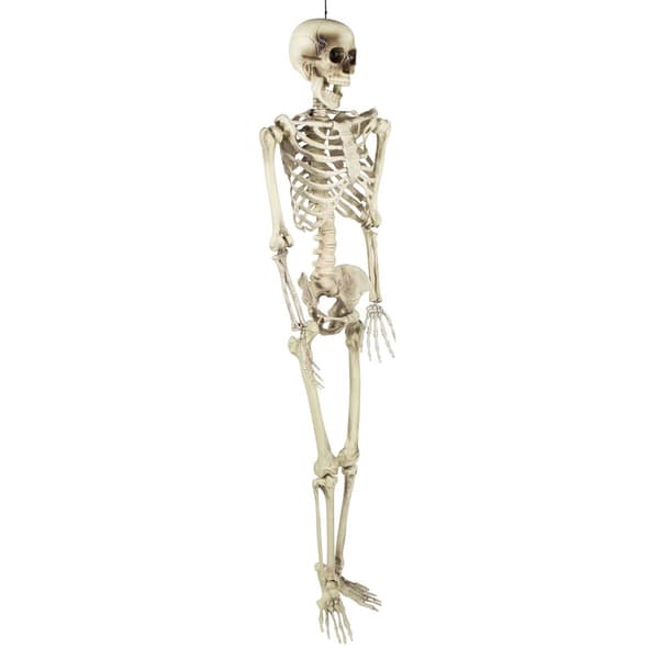 Northlight Seasonal 5ft. Life Size Skeleton Halloween Decoration