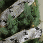 Northlight 12pk. White & Black Playful Reindeer Christmas Ribbons - image 3