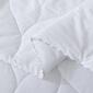 Waverly Antimicrobial White Down Blanket - image 4