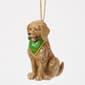 Jim Shore Heartwood Creek Dog Wearing Bandana Christmas Ornament - image 2
