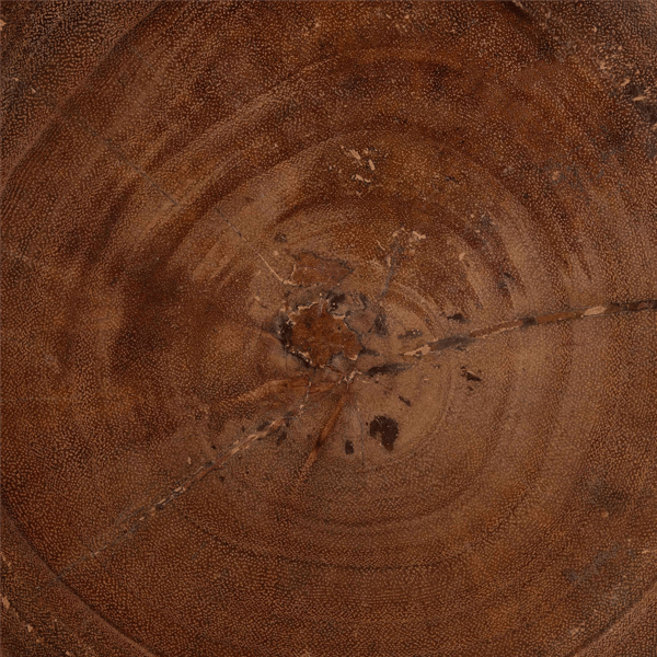 bali & pari Samira Solid Suar Wood End Table