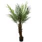 Northlight Seasonal 47in. Artificial Phoenix Palm Potted Tree - image 1