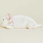 Warmies&#174; 9in. Junior Axolotl - image 3