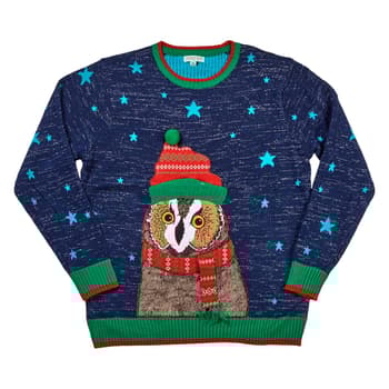 Mens Holiday Hype Winter Owl Sky Sweater Boscov s