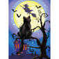 Evergreen Black Cat & Witch Garden Flag - image 1