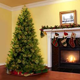 National Tree Pre-Lit  7.5ft. Hamilton Cashmere Christmas Tree
