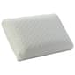 Bodipedic Comfort Support Standard Pillow - image 1