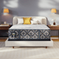Serta® Perfect Sleeper® Cascade Range 14in. Medium Mattress - image 1
