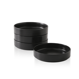 Stone Lain Celina 4pc. Stoneware Pasta Bowl Set
