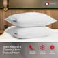 Swiss Comforts Tencel 2 Pack Pillow Protectors - image 2