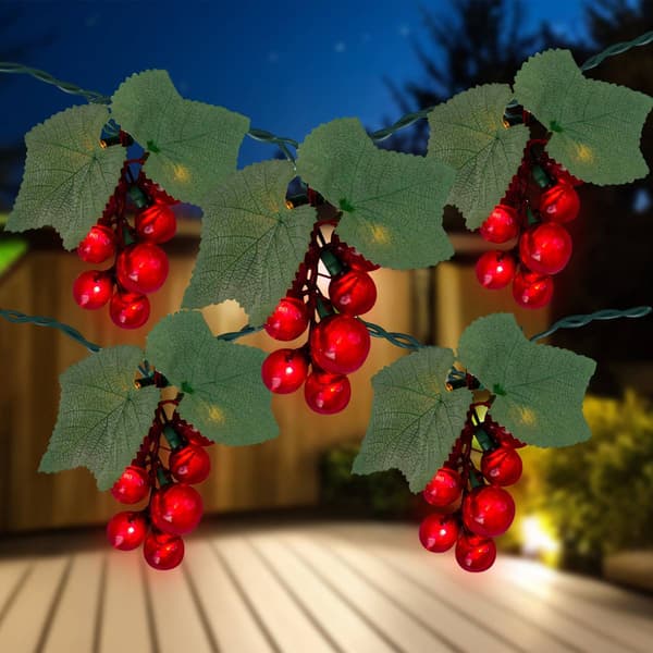 Northlight Seasonal 5 Red Grape Cluster String Lights