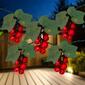 Northlight Seasonal 5 Red Grape Cluster String Lights - image 5