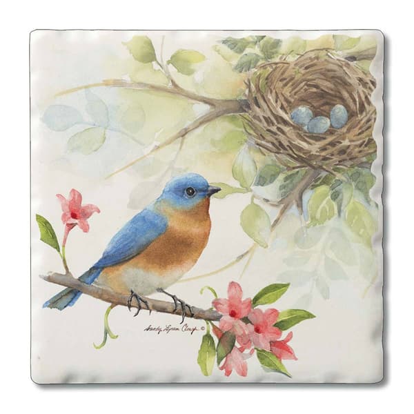 4pk. Bird Song Blue Bird Square Set