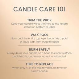 Yankee Candle® 22oz. Vanilla Crème Brulée Jar Candle
