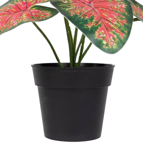 Northlight Seasonal 8in. Artificial Rohdea Potted Plant