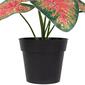 Northlight Seasonal 8in. Artificial Rohdea Potted Plant - image 4