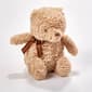 Disney Classic Pooh Small Plush - image 1