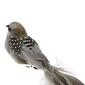 Northlight Seasonal Clip On Bird Christmas Ornament - image 4