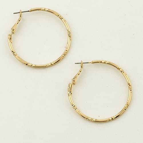Freedom Nickel Free Leverback Hoop Earrings - image 