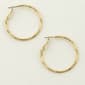 Freedom Nickel Free Leverback Hoop Earrings - image 1