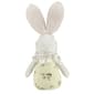 Northlight Seasonal 11in. Spring Floral Easter Bunny Figurine - image 5