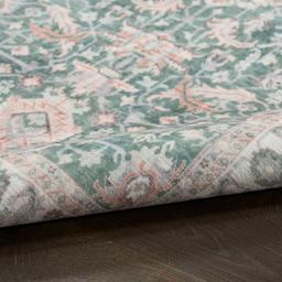 Nourison Whitmore Vintage Rug