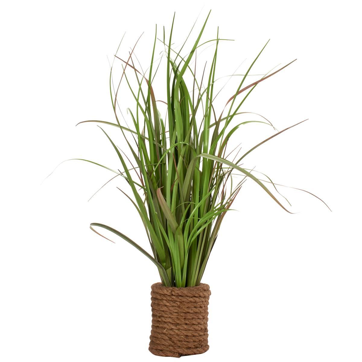 Onion Grass Rope Pot