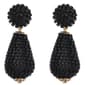 Ashley Cooper(tm) Black Rhinestone Drop Earrings - image 1