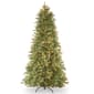 National Tree 7.5ft. Tiffany Fir Tree w/ Clear Lights - image 1