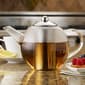 BonJour&#174; Tea Hand-Blown Insulated Glass Teapot - image 6
