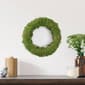 Northlight Seasonal Artificial Moss & Vine Spring Twig Wreath - image 3