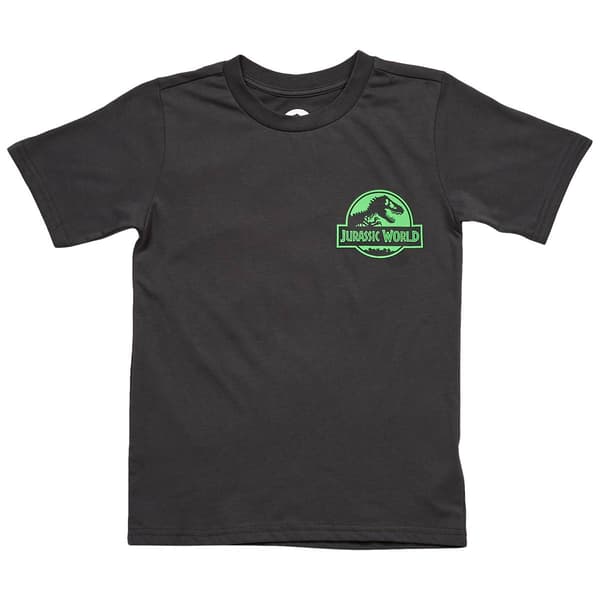 Boys (4-7) Jurassic World Short Sleeve Tee - Dark Grey - image 