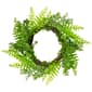 Northlight Seasonal Artificial Fern Leaf Spring Wreath - image 1