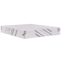 Sealy Plush 10in. Medium Foam Bed in Box Mattress