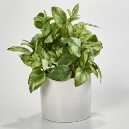 Life-Like Artificial Philodendron Plant in White Planter