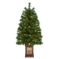 Puleo International Pre-Lit Potted Christmas Trees - Set of 2 - image 1