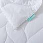 Waverly Antimicrobial White Down Blanket - image 5