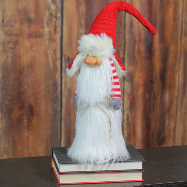 Northlight Seasonal 22in. Slim Holiday Santa Gnome