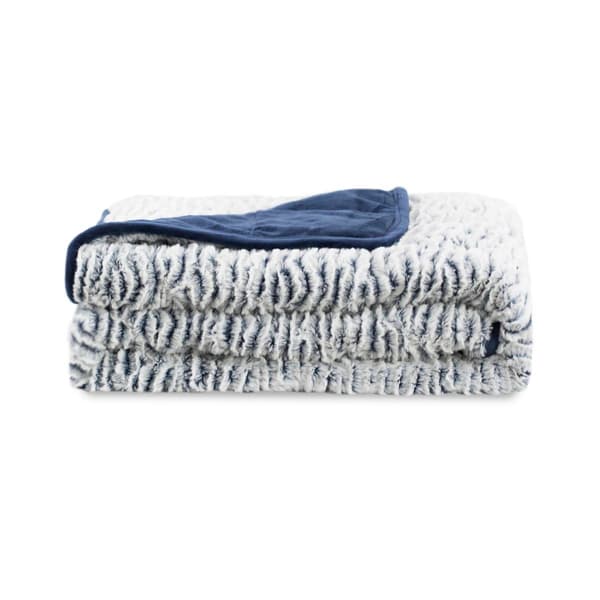 Dream Theory Faux Fur Weighted Throw Blanket - image 