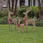Seasonal LLC LED Natural Rattan Reindeer Family - Set of 3 - image 2