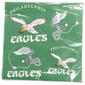 Eagles 20ct. Napkins - image 1