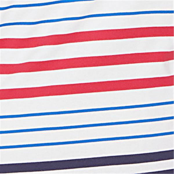 Plus Size Alfred Dunner Lady Liberty Americana Stripes Tee