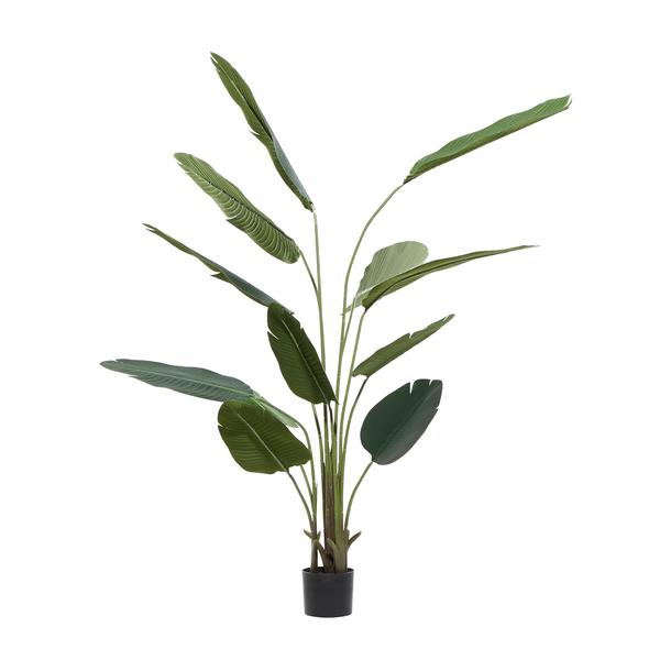 9th & Pike® Artificial Strelitziaceae Tree