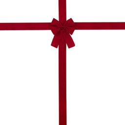 Northlight Seasonal 14in. Classic Red Velvet Christmas Door Bow