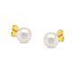 Haus of Brilliance 14kt. Yellow Gold Round Pearl Stud Earrings - image 1