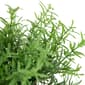 Northlight Seasonal Artificial Spring Foliage Burlap Potted Plant - image 5