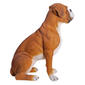 Hi-Line Gift Sitting Boxer Garden Statue - image 2