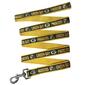 NFL Green Bay Packers Dog Leash - image 1