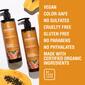 Superfoods Papaya Butter Frizz Control Conditioner - image 5
