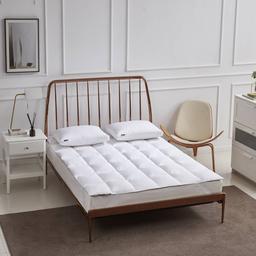 Beautyrest(R) 233TC Feather and Down Fiber Mattress Topper